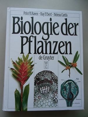 Bild des Verkufers fr Biologie der Pflanzen 1988 Pflanzenzelle Molekularer Bau Zelle Ein- Austransport zum Verkauf von Versandantiquariat Harald Quicker