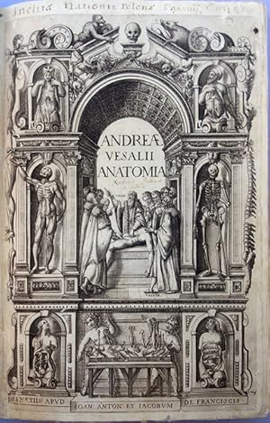 Seller image for Andreae Vesalii anatomia: Addita nunc postremo etiam antiquorum anatome for sale by Jeremy Norman's historyofscience