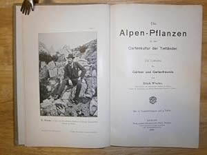 Imagen del vendedor de Die Alpen-Pflanzen in der Gartenkultur der Tieflnder. Ein Leitfaden fr Grtner und Gartenfreunde. a la venta por NORDDEUTSCHES ANTIQUARIAT