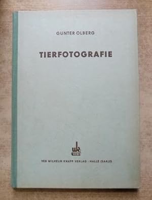 Tierfotografie - Eine Anleitung zum Fotografieren von Groß- und Kleintieren.