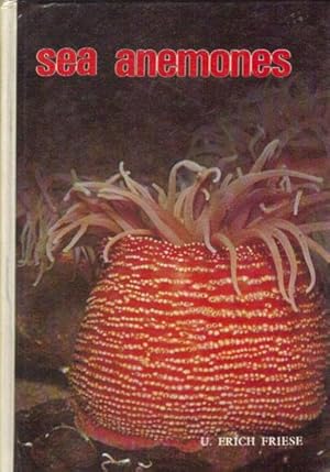 Seller image for SEA ANEMONES for sale by Black Stump Books And Collectables