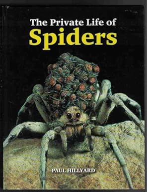 Immagine del venditore per THE PRIVATE LIFE OF SPIDERS venduto da M. & A. Simper Bookbinders & Booksellers