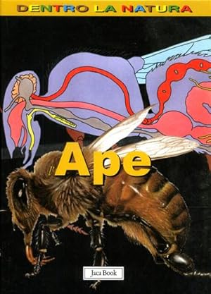 Seller image for Ape. for sale by FIRENZELIBRI SRL