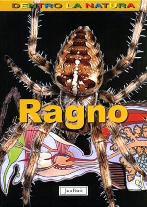 Seller image for Il ragno. for sale by FIRENZELIBRI SRL