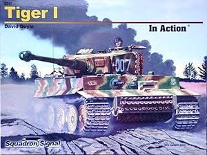 Tiger1 in Action - Armor No. 47