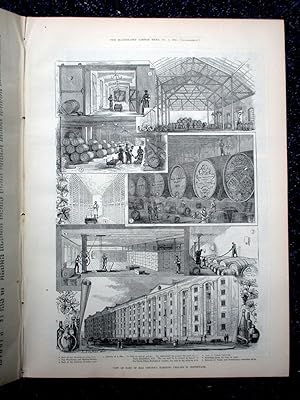 The Illustrated London News, 2 December 1882. The Queen Decorating Troops returned from Egypt ...