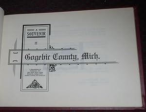 A Souvenir Sketch of the Great Gogebic Range, Ironwood Michigan