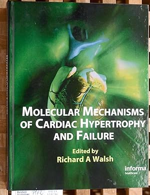 Molecular Mechanisms of Cardiac Hypertrophy and Failure