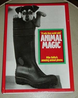 Animal Magic