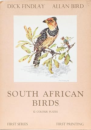 South African Birds