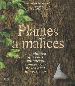 Seller image for Plantes  Malices - Les plantes qui vous entourent comme vous ne les avez jamais vues. Illustrations de Lise Herzog. for sale by Bookinerie