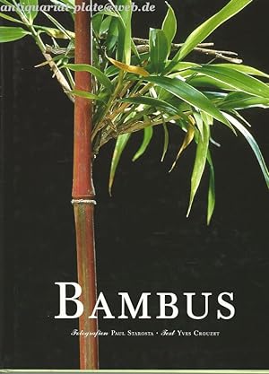 Seller image for Bambus. for sale by Antiquariat-Plate