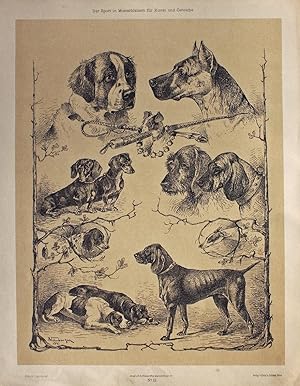 "Hunde-Typen" originale Feder-Lithographie über Tonplatte auf Kunstdruck-Karton (ca.37x28cm) nach...
