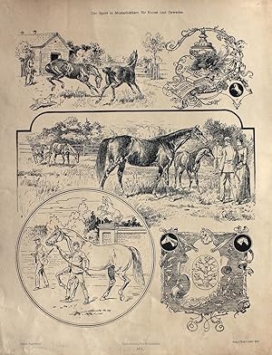"Pferdezucht" originale Feder-Lithographie auf Kunstdruck-Karton (ca.37x28cm) nach einer Zeichnun...