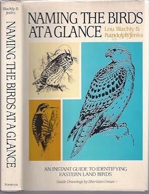 Seller image for Naming the Birds at a Glance: An Instant Guide to Identifying Eastern Land Birds for sale by The Ridge Books