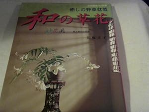 Und je mehr shi   Blumentopf Unkraut (Japanisch) Blatt Art Books ISBN 4886161324
