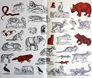 Imagen del vendedor de Das ABC der Tiere. Mrchen, Mythen und Geschichten. Mnchen, Beck, 1995. Mit 51 Abbildungen. 434 S., 1 Bl. Or.-Lwd. mit Schutzumschlag. (ISBN 3406398898).Vortitel mit handschriftl. Eintrag. a la venta por Jrgen Patzer