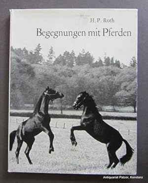 Begegnungen mit Pferden. Mit einem "Gruß an die Pferde" von Hermann Hiltbrunner. Zürich, Calssen,...