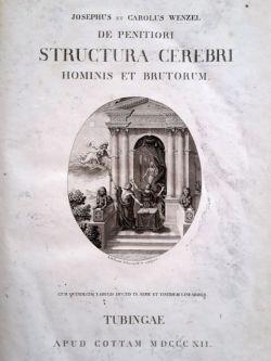 Bild des Verkufers fr De penitiori structura cerebri hominis et brutorum. zum Verkauf von Gabriele Maspero Libri Antichi