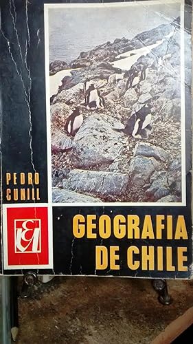 Geografía de Chile