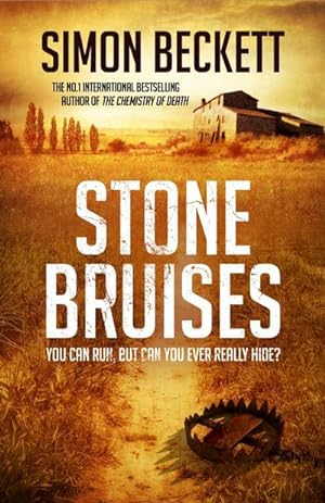 Bild des Verkäufers für Stone Bruises zum Verkauf von AHA-BUCH