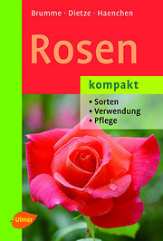 Bild des Verkufers fr Rosen kompakt: Sorten - Verwendung - Pflege : Sorten, Verwendung, Pflege zum Verkauf von AHA-BUCH