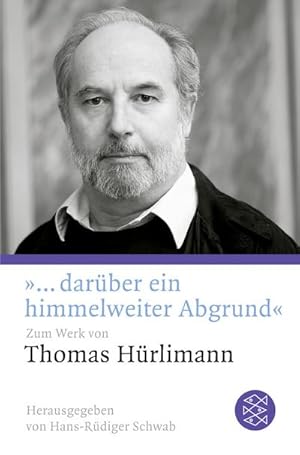 Bild des Verkufers fr darber ein himmelweiter Abgrund" : Zum Werk von Thomas Hrlimann zum Verkauf von AHA-BUCH