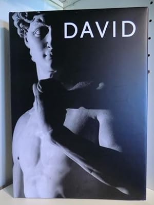 Bild des Verkufers fr David. Michelangelo zum Verkauf von Antiquariat Weber