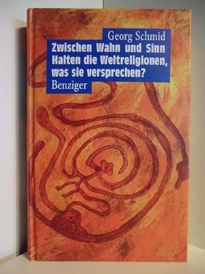 Immagine del venditore per Zwischen Wahn und Sinn. Halten die Weltreligionen, was sie versprechen? venduto da Antiquariat Weber