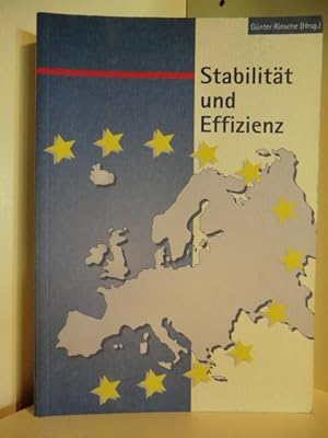 Bild des Verkäufers für Stabilität und Effizienz. Erfolgsbedingungen der Europäischen Wirtschafts- und Währungsunion zum Verkauf von Antiquariat Weber GbR
