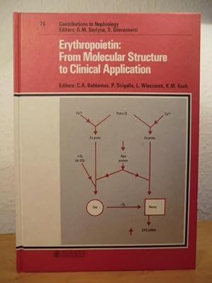 Bild des Verkufers fr Erythropoietin: From Molecular Structure to Clinical Application. Contributions to Nephrology Volume 76 zum Verkauf von Antiquariat Weber