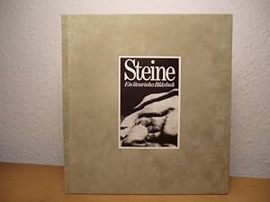 Seller image for Steine. Ein literarisches Bilderbuch for sale by Antiquariat Weber