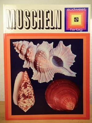 Seller image for Muscheln. Glck aus den sieben Meeren. Ein farbenfroher berblick ber Herrlichkeiten aus der See mit vielen Farbbildern for sale by Antiquariat Weber