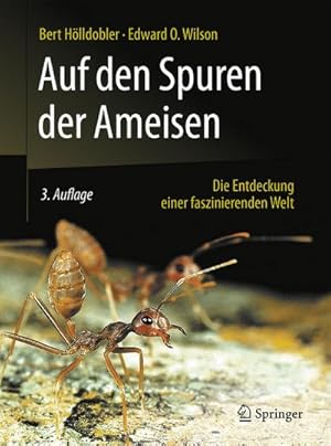 Immagine del venditore per Auf den Spuren der Ameisen venduto da BuchWeltWeit Ludwig Meier e.K.