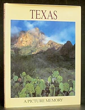 Texas: A Picture Memory
