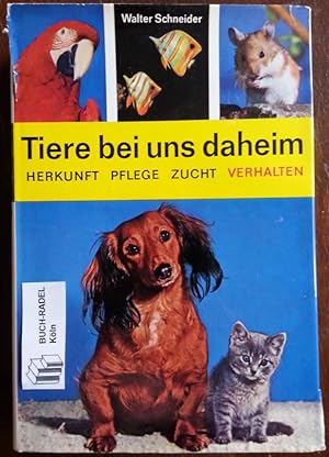 Tiere bei uns daheim. Herkunft, Pflege, Zucht, Verhalten. Ein praktischer Ratgeber für alle Tierf...