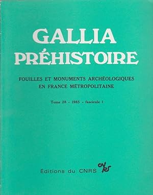 GALLIA Fouilles et Monuments archéologiques en France Métropolitaine Tome 28 - 1985 Fascicule 1