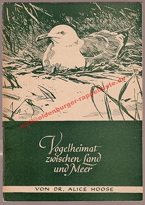 Vogelheimat zwischen Land und Meer