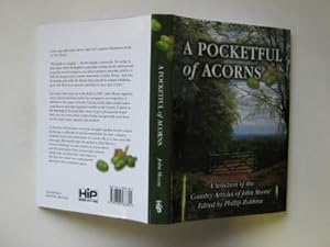 A pocketful of acorns