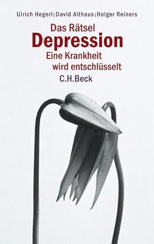 Seller image for Das Rtsel Depression for sale by BuchWeltWeit Ludwig Meier e.K.