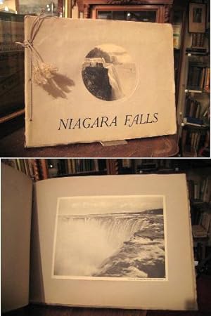 Niagara Falls. Published by A. Wittemann Souvenir Books and Post Cards.