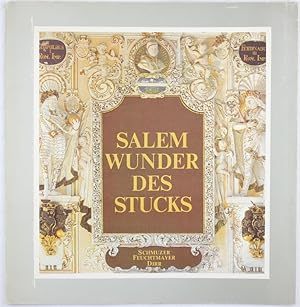 Seller image for Salem. Wunder des Stucks. Ein Jahrhundert des Stucks - Die Schmuzer, Feuchtmayer und Dirr in Salem. for sale by Graphem. Kunst- und Buchantiquariat