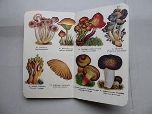 Atlas der am häufigsten vorkommenden Eßbaren Pilze. 95 Abbildungen in naturgetreuen Farben mit An...