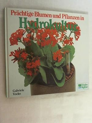 Imagen del vendedor de Prchtige Blumen und Pflanzen in Hydrokultur. a la venta por Versandantiquariat Christian Back