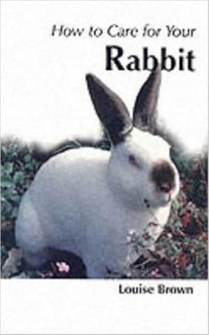 How to Care for Your Rabbit (Your First Pet) (Your first.series)