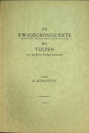 De kwadegrondziekte ( sclerotium (rhizoctonia) tuliparum kleb. ) bij tulpen en andere gewassen