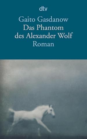 Bild des Verkufers fr Das Phantom des Alexander Wolf: Roman (dtv Literatur) zum Verkauf von AHA-BUCH