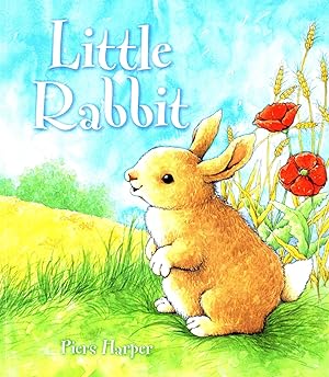 Seller image for Little Rabbit : for sale by Sapphire Books