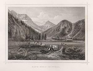 Seller image for Alpe Gern in Tyrol. for sale by Antiquariat Gallus / Dr. P. Adelsberger