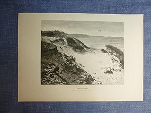 orig. Holzstich Düne von Rauschen - Baltikum Nach einer photographischen Aufnahme von Gottheil